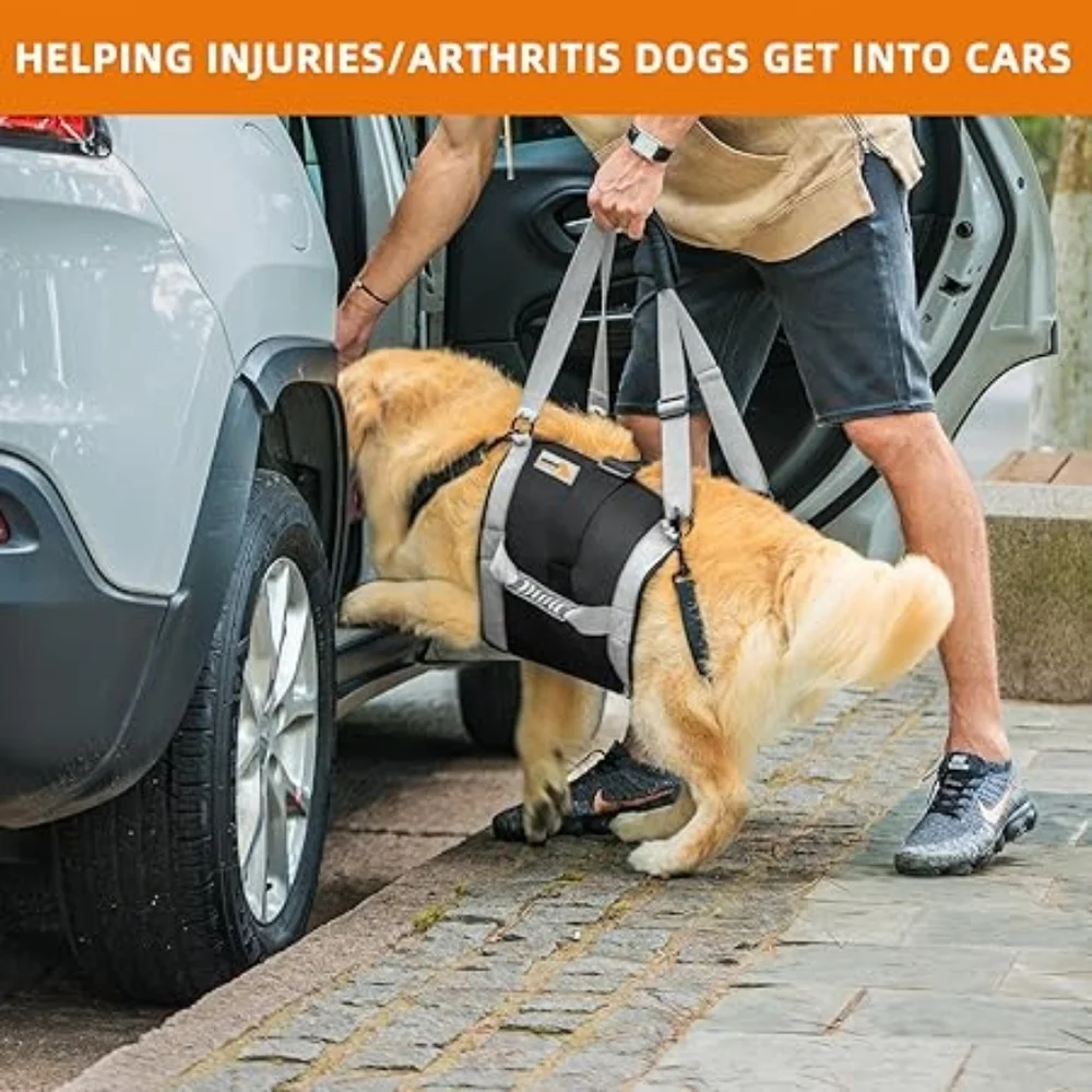 Dog Lift Harness & Body Sling Support for Large Dogs